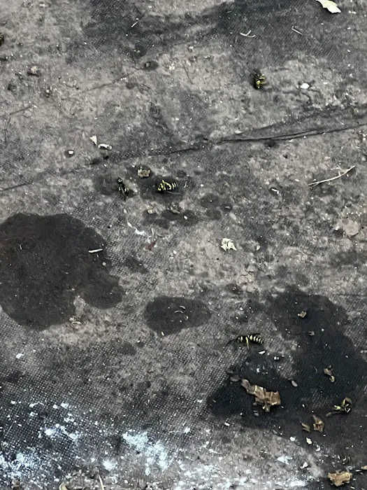 Uma Pest Control Picture 9