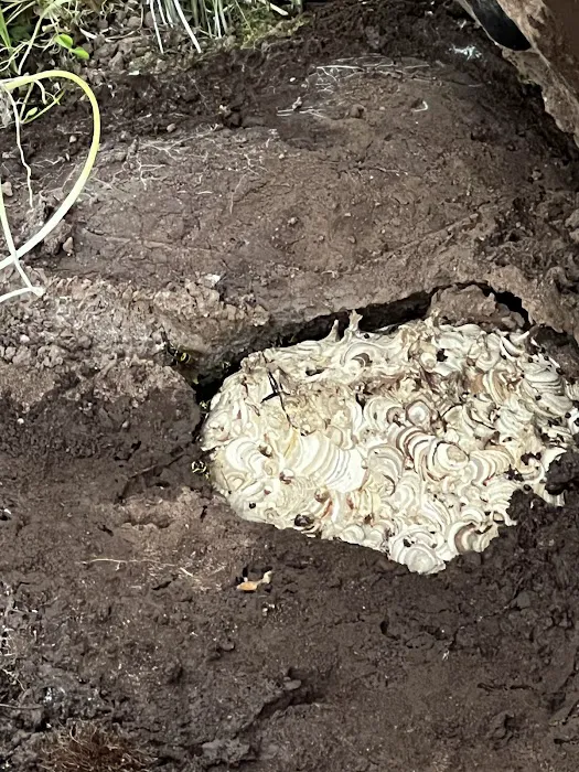 Uma Pest Control Picture 2