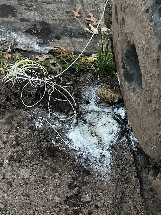 Uma Pest Control Picture 8