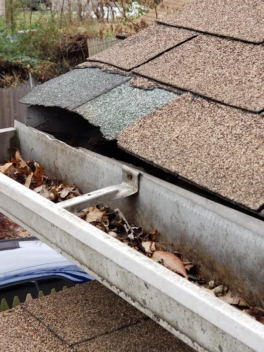 Universal Pest Control Picture 2