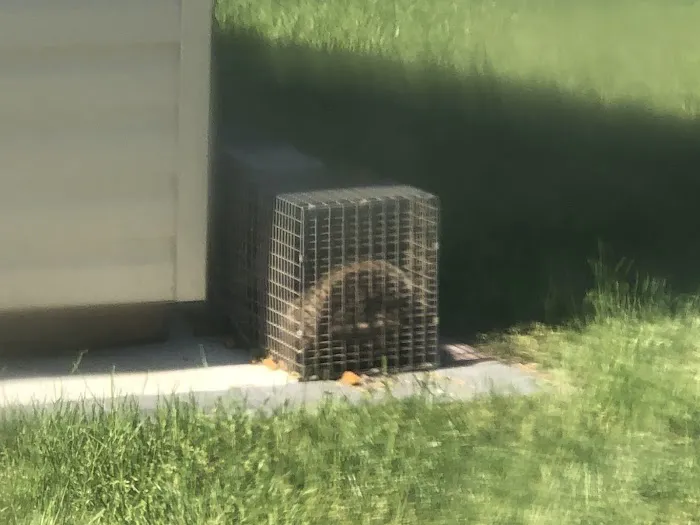 Universal Pest Control Picture 3