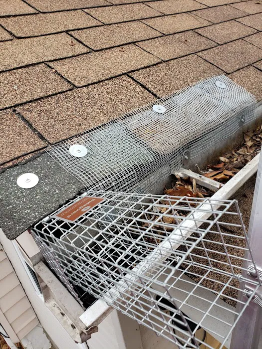 Universal Pest Control Picture 6