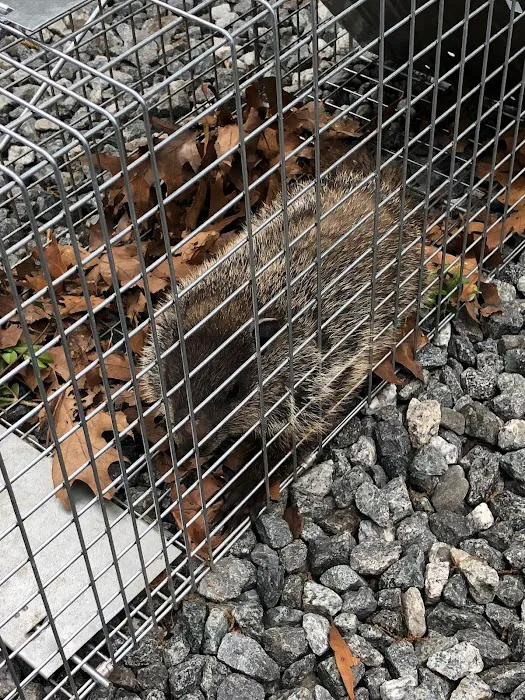 Universal Pest Control Picture 5