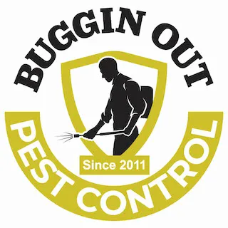 Buggin' Out Pest Control Picture 1