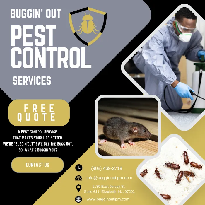 Buggin' Out Pest Control Picture 4