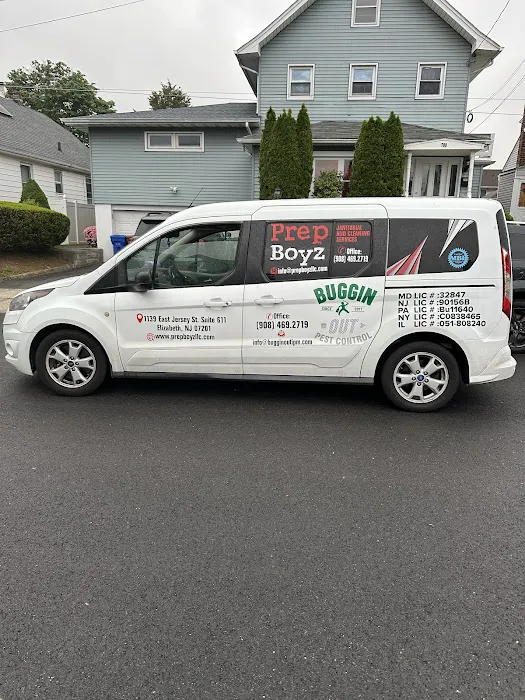 Buggin' Out Pest Control Picture 7