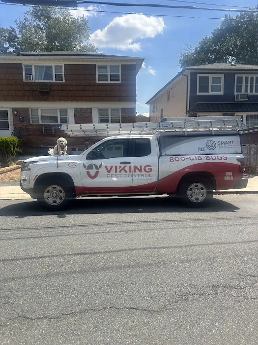 Viking Pest Control Picture 6