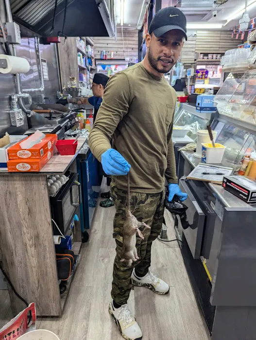 Bronx Exterminator At Last Pest Control Picture 4