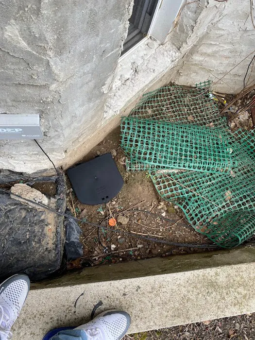 Bronx Exterminator At Last Pest Control Picture 6