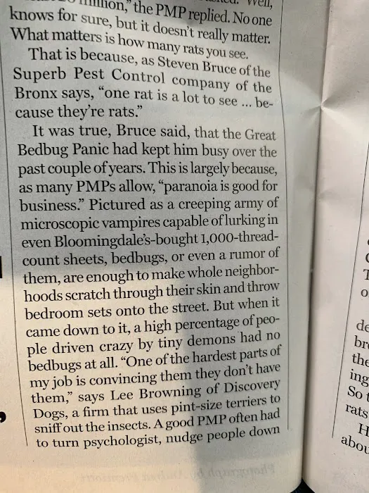 Superb Pest Control Picture 1