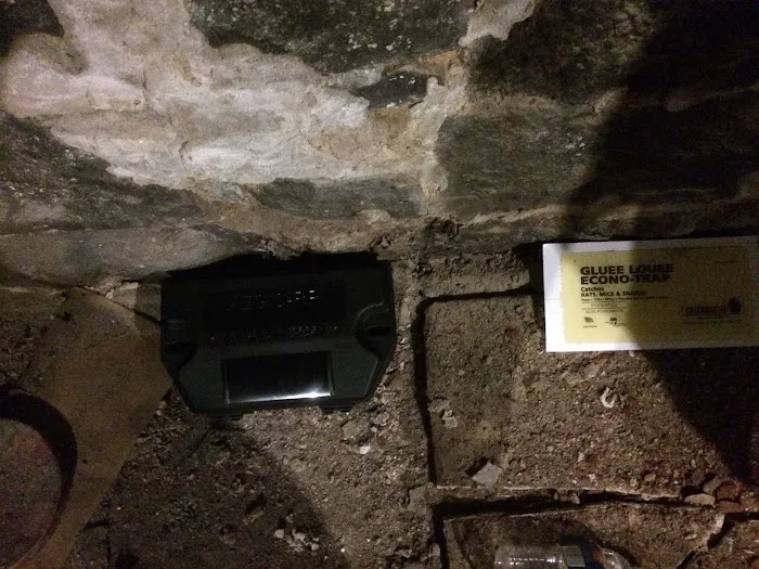 Superb Pest Control Picture 5