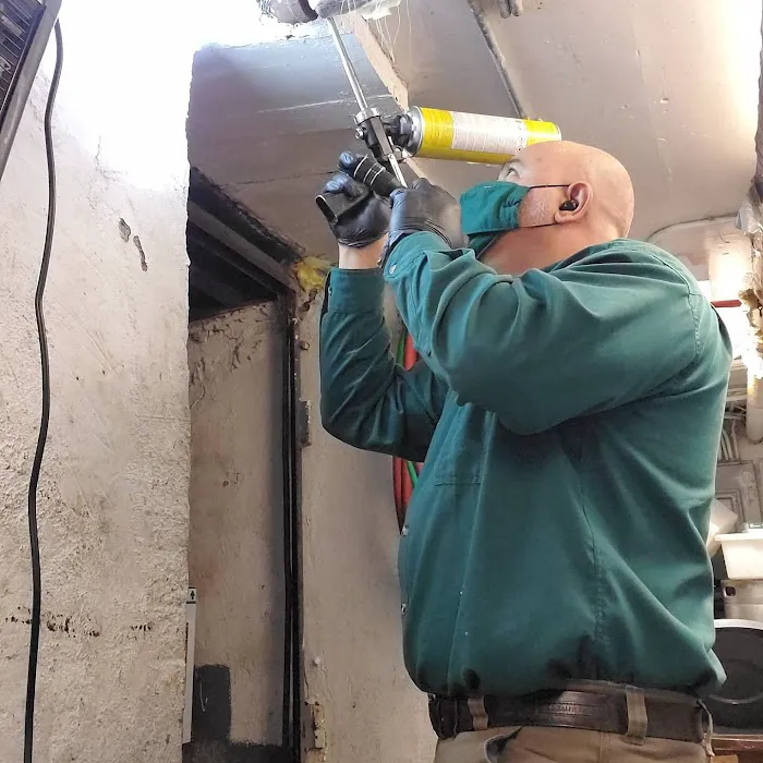 One Shot Pest Services Picture 9