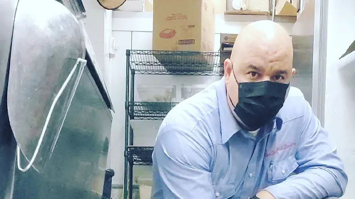 One Shot Pest Services Picture 5