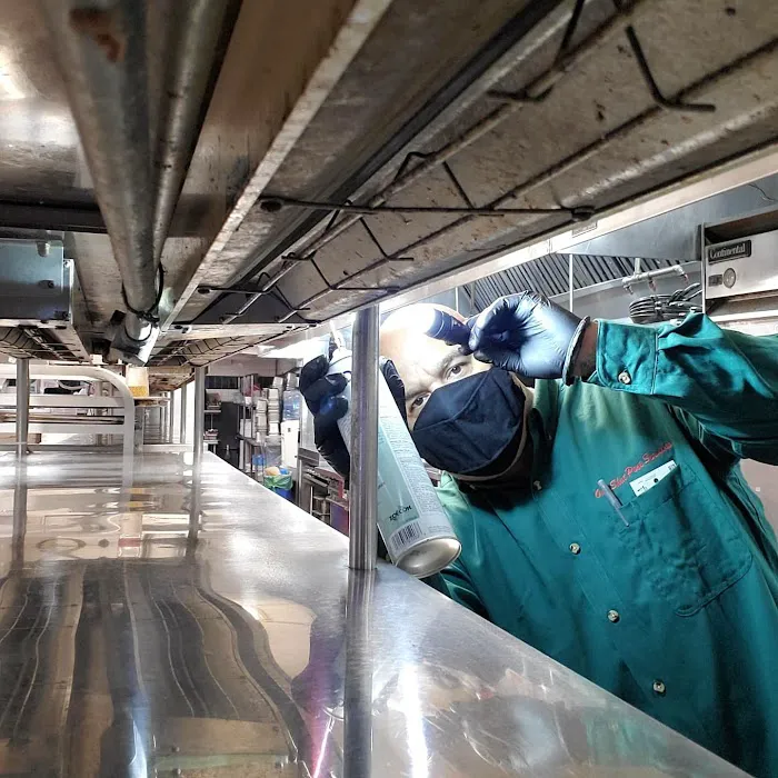 One Shot Pest Services Picture 10