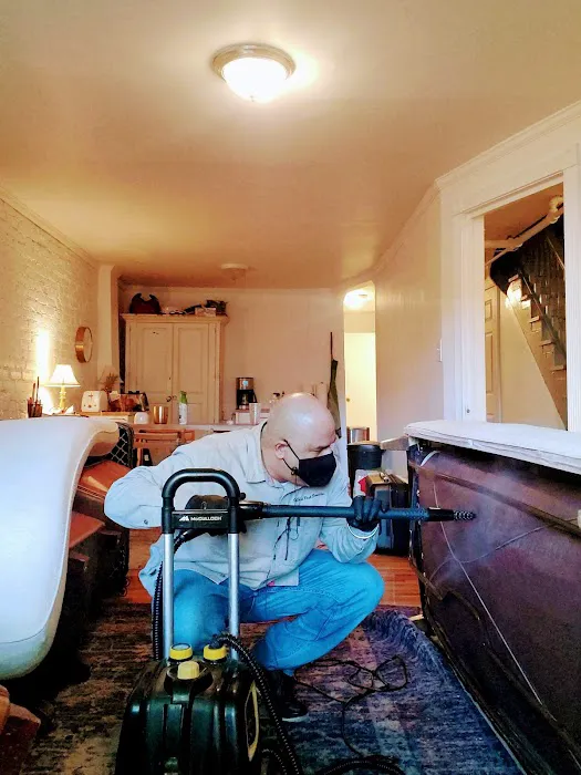 One Shot Pest Services Picture 4