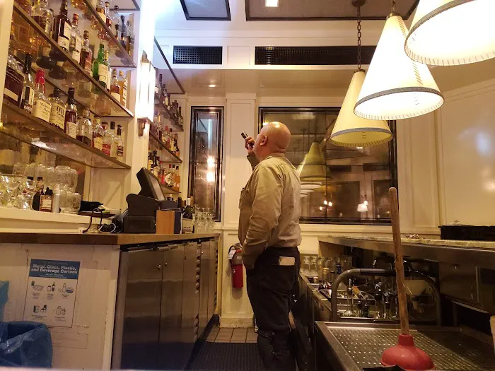 One Shot Pest Services Picture 7