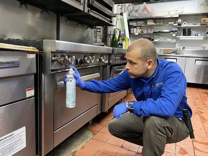 Total Extermination Picture 5