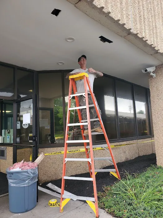 Priority 1 Termite & Pest Control Picture 4