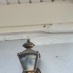Priority 1 Termite & Pest Control