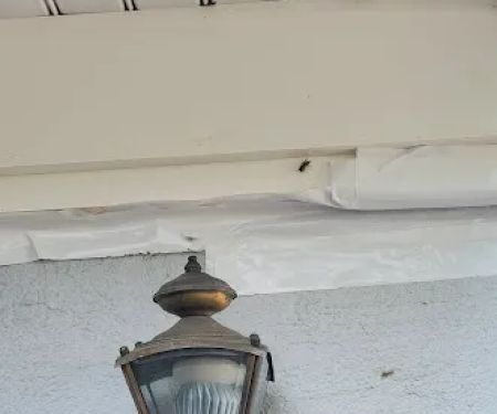 Priority 1 Termite & Pest Control