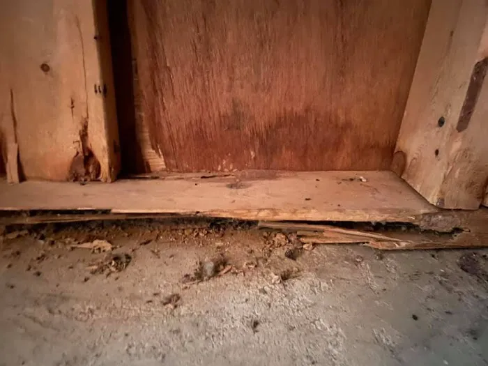 EcoFusion Pest Control Picture 1