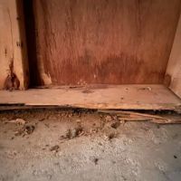 EcoFusion Pest Control ico