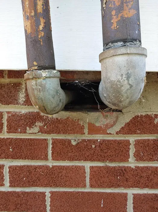 EcoFusion Pest Control Picture 8