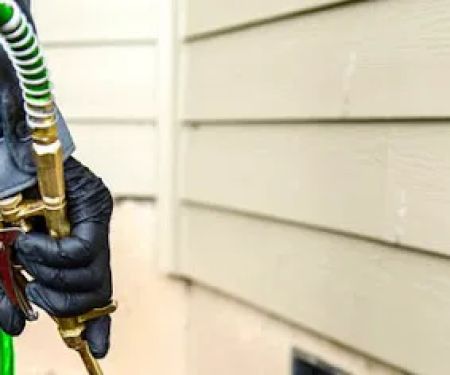 Annihilator Extermination | Best Emergency Exterminator Staten Island | Pest Control