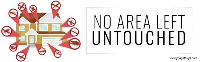 Annihilator Extermination | Best Emergency Exterminator Staten Island | Pest Control Picture 3