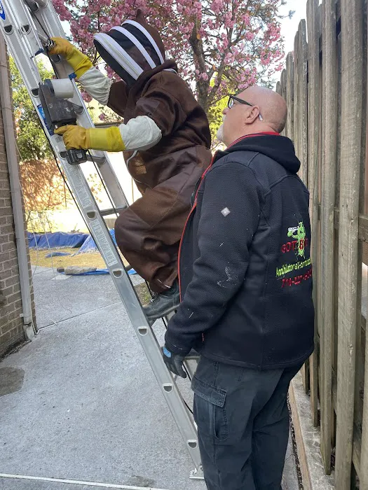 Annihilator Extermination | Best Emergency Exterminator Staten Island | Pest Control Picture 6