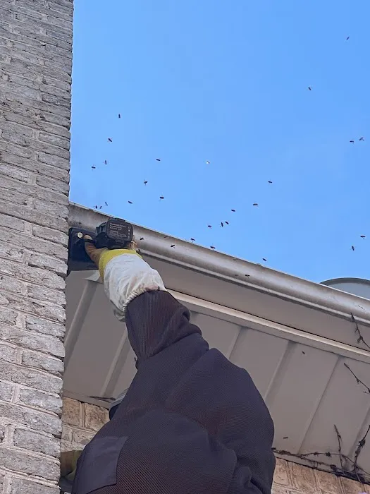 Annihilator Extermination | Best Emergency Exterminator Staten Island | Pest Control Picture 8