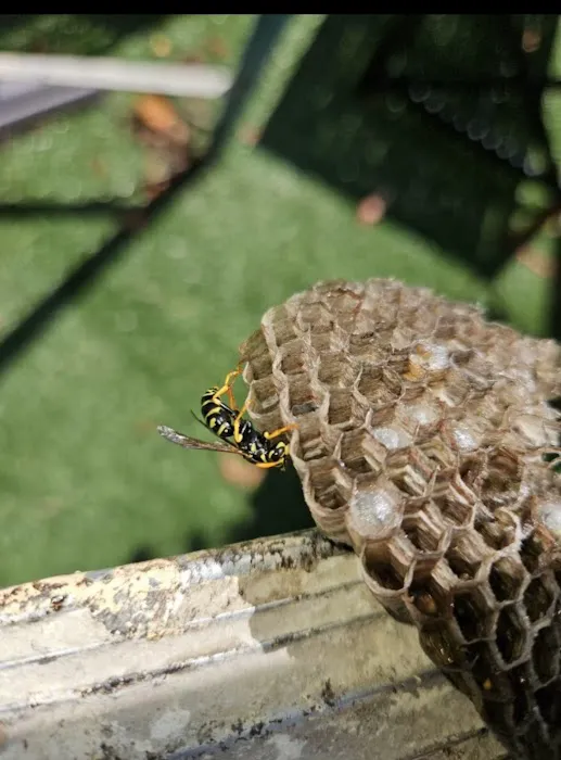 OnGuard Pest Control Picture 3