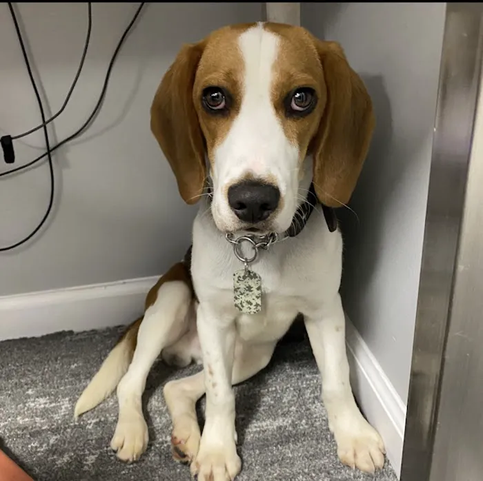 OnGuard Pest Control Picture 4