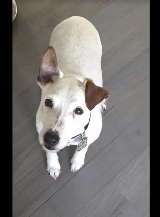 OnGuard Pest Control Picture 5