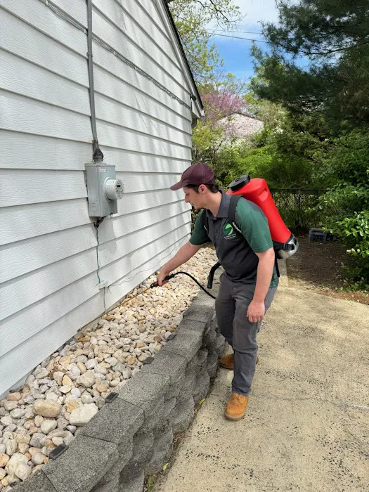 Superior Pest Elimination Picture 1