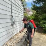 Superior Pest Elimination