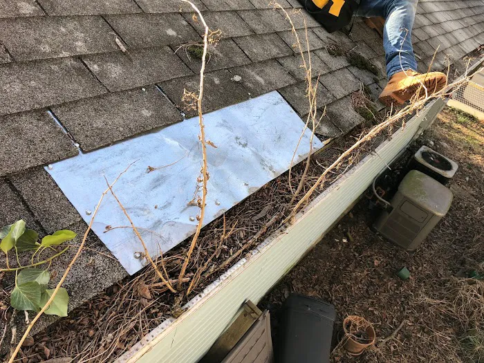 Superior Pest Elimination Picture 3