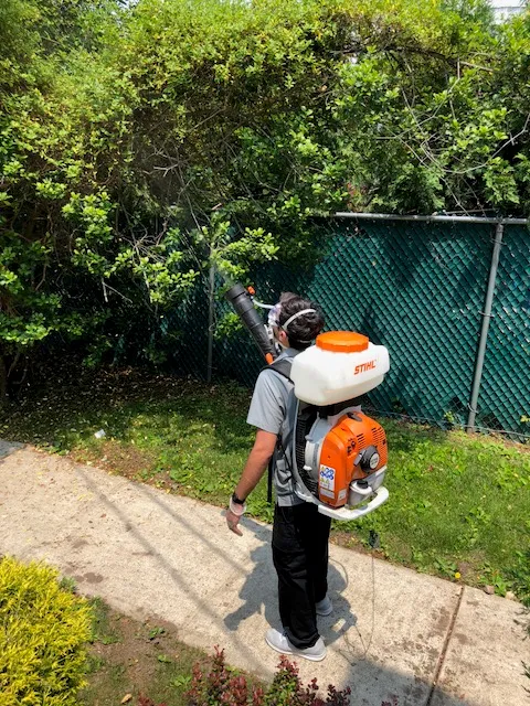 Superior Pest Elimination Picture 4