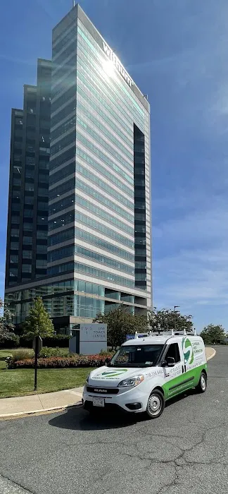 Superior Pest Elimination Picture 7