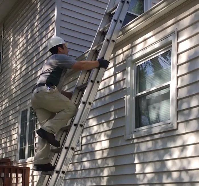 Cooper Pest Solutions Picture 4