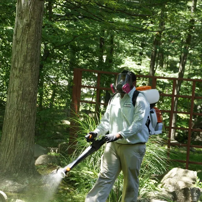 Cooper Pest Solutions Picture 9