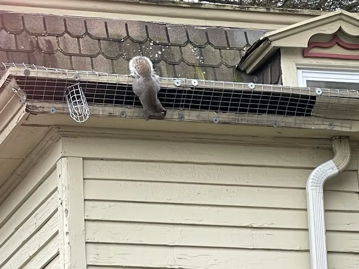 Reliable Pest and animal llc Picture 3