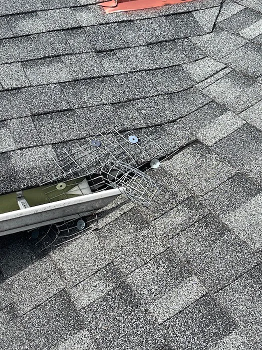 Reliable Pest and animal llc Picture 2