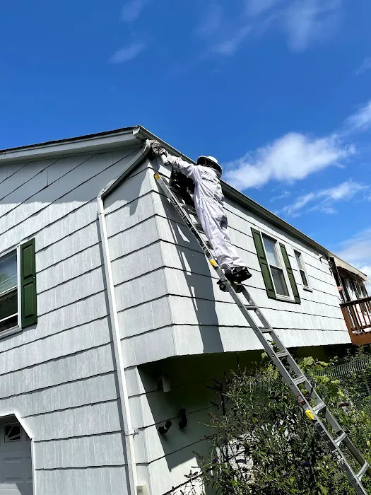 Reliable Pest and animal llc Picture 9