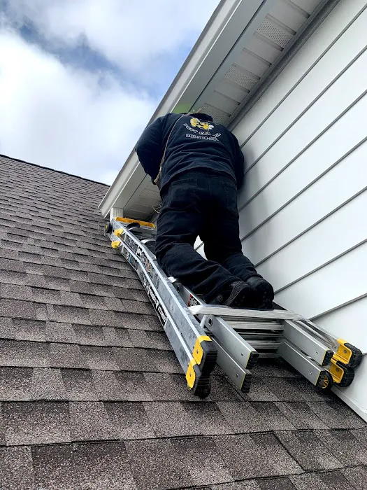 Reliable Pest and animal llc Picture 10