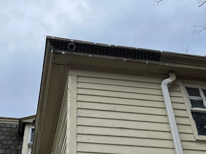 Reliable Pest and animal llc Picture 8