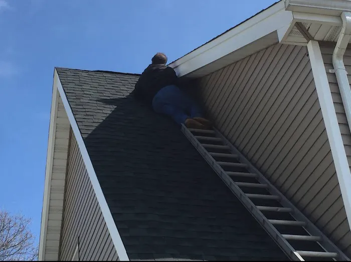 Reliable Pest and animal llc Picture 6