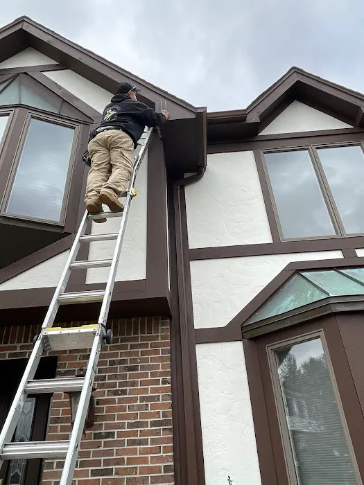 Reliable Pest and animal llc Picture 1