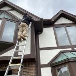 Reliable Pest and animal llc