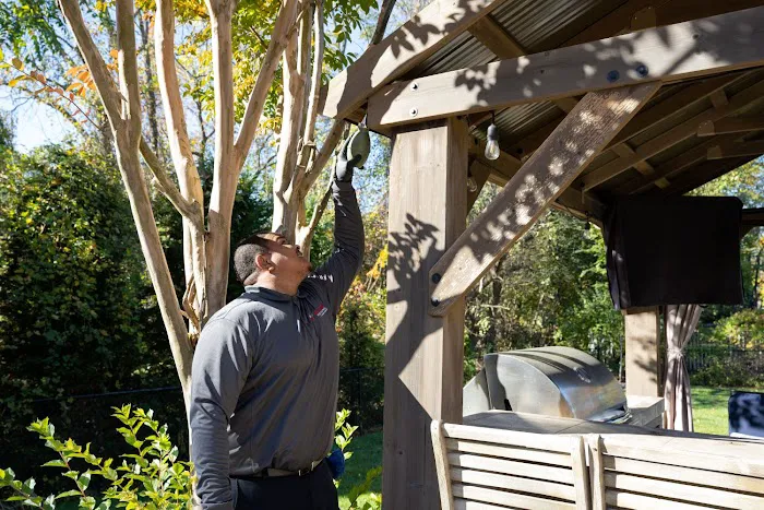 Viking Pest Control Picture 3